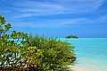 027 Maldive