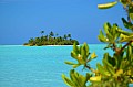 029 Maldive
