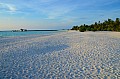 033 Maldive