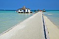 041 Maldive
