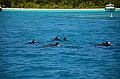 043 Maldive