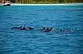 044 Maldive