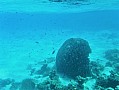 045 Maldive