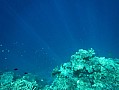 049 Maldive