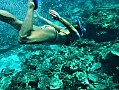 050 Maldive