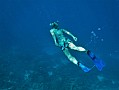 055 Maldive