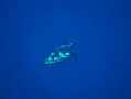 060 Maldive