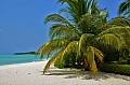 067 Maldive