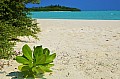 072 Maldive