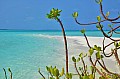 074 Maldive