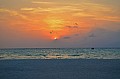 102 Maldive