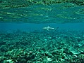 110 Maldive