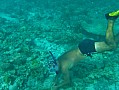 123 Maldive