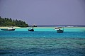 134 Maldive