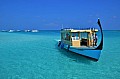 153 Maldive