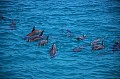 164 Maldive