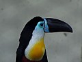 Kuala Lumpur-0043