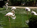 Kuala Lumpur-0045