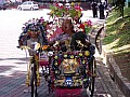 Malacca-0007