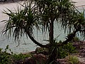 Redang Island-0005