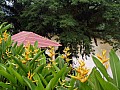 Taman Negara-0001