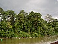 Taman Negara-0004