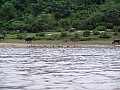 Taman Negara-0005