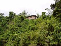Taman Negara-0006