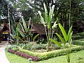 Taman Negara-0007