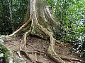 Taman Negara-0009