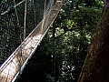 Taman Negara-0011
