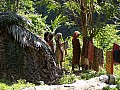 Taman Negara-0022