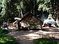 Taman Negara-0023