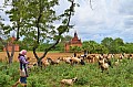 0124 Bagan