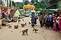 0140 Monte Popa