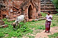 0205 Mandalay