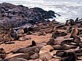 Cape Cross 0004