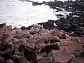 Cape Cross 0007