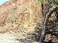 Damaraland - Organ Pipes 0003