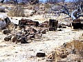 Damaraland - Petrified forest 0001
