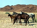 Damaraland 0008