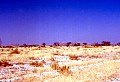Namib desert 0001
