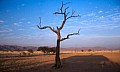Namib desert 0005