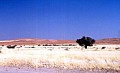 Namib desert 0008