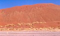 Namib desert- Sossusvlei 0003