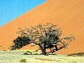 Namib desert- Sossusvlei 0007