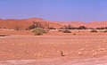 Namib desert- Sossusvlei 0008