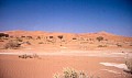 Namib desert- Sossusvlei 0009