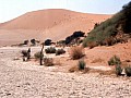 Namib desert- Sossusvlei 0012