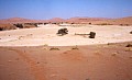 Namib desert- Sossusvlei 0014